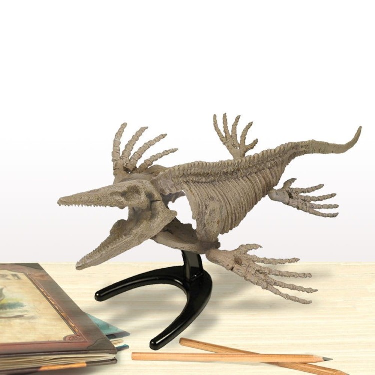 Jajo dinozaura szkielet MOSASAURUS 37 cm Geoworld