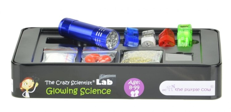 Zestaw do robienia eksperymentów Świecące w Ciemności The Purple Cow