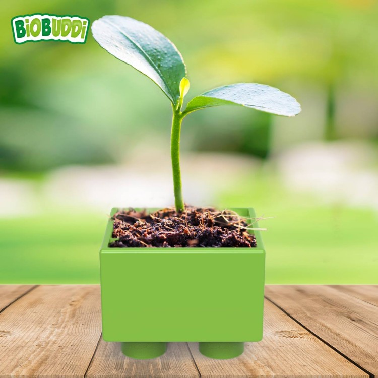 Klocki ekologiczne - Targ - 32 el - BIOBUDDI