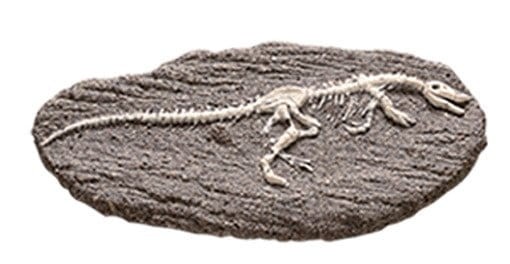 Duży szkielet dinozaura - wykopalisko na kamieniu  14 cm Bones&more