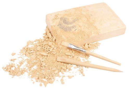 Duży szkielet dinozaura - wykopalisko na kamieniu  14 cm Bones&more