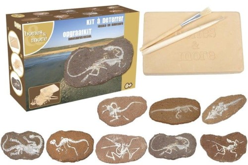 Duży szkielet dinozaura - wykopalisko na kamieniu  14 cm Bones&more