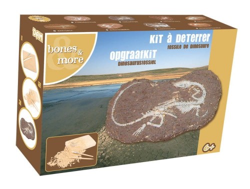 Duży szkielet dinozaura - wykopalisko na kamieniu  14 cm Bones&more