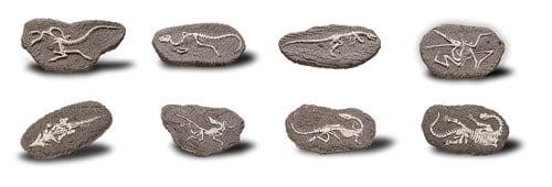 Duży szkielet dinozaura - wykopalisko na kamieniu  14 cm Bones&more