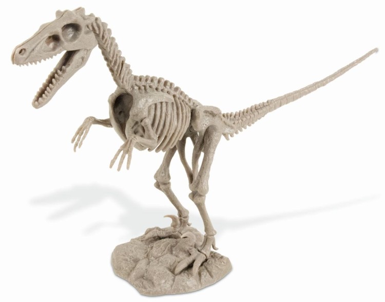 Szkielet VELOCIRAPTOR 27 cm Wyprawa Paleontologiczna dinozaur Geoworld