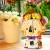 Drewniana doniczka Koala puzzle 3D DIY Robotime 5