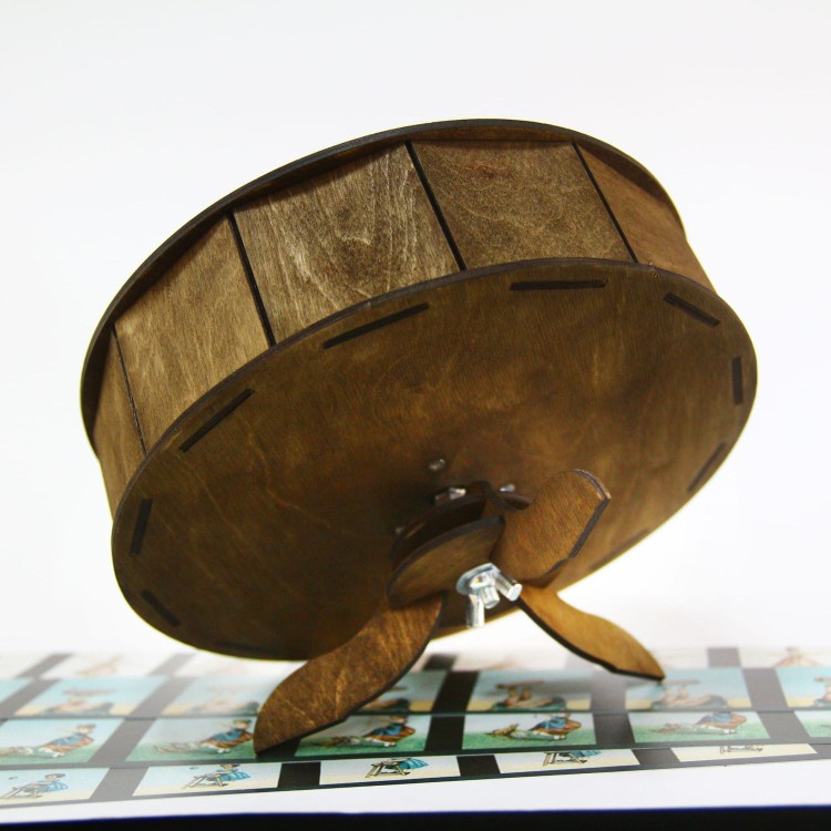 Praksinoskop - ruchome obrazy - Animation Toys 8