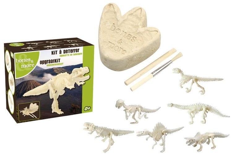 Duża figurka dinozaura - wykopalisko odcisk łapy Bones&more
