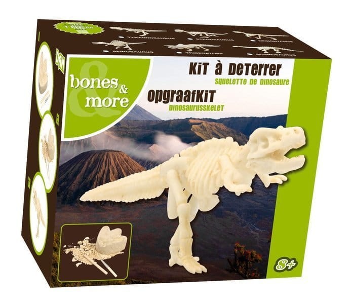Duża figurka dinozaura - wykopalisko odcisk łapy Bones&more 1