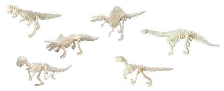 Duża figurka dinozaura - wykopalisko odcisk łapy Bones&more 3