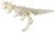 Duża figurka dinozaura - wykopalisko odcisk łapy Bones&more 7