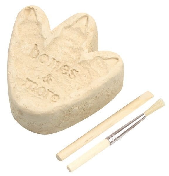 Duża figurka dinozaura - wykopalisko odcisk łapy Bones&more 2