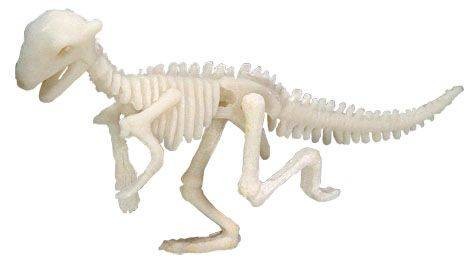 Duża figurka dinozaura - wykopalisko odcisk łapy Bones&more 9