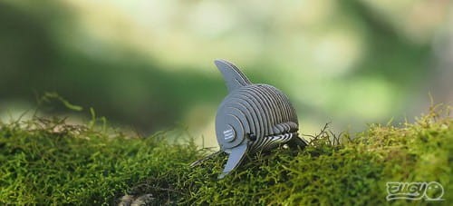 Delfin-eugy-w-naturze.jpg