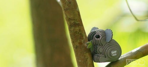 Koala-w-naturze.jpg
