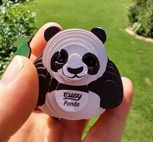 Panda-eudy-w-reku.jpg