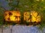 pol_pl_Box-Candiy-zestaw-kreatywny-Nocne-lampki-Zwierzeta-2-szt-1815_13.jpeg
