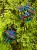 pol_pl_Box-Candiy-zestaw-kreatywny-3D-zdrapka-Robaczki-1818_18.jpeg