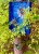 pol_pl_Box-Candiy-zestaw-kreatywny-3D-zdrapka-Robaczki-1818_17.jpeg