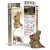 015_PACK3_KANGAROO_20210406_rendering.jpg