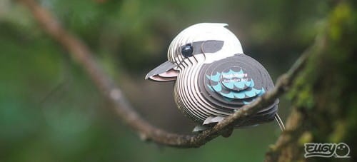 27_kookaburra_05_jpg.jpg