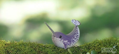 33_Narwhal_03_jpg.jpg