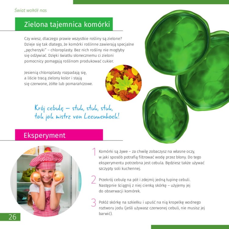 Niewidoczny świat. Skarbnica wiedzy - podręcznik naukowca Levenhuk