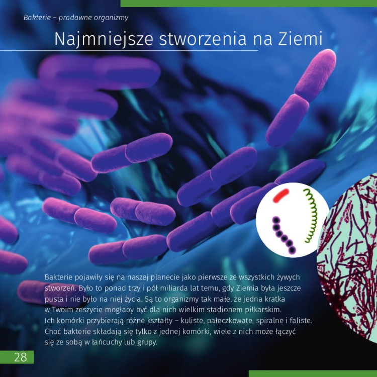 Niewidoczny świat. Skarbnica wiedzy - podręcznik naukowca Levenhuk