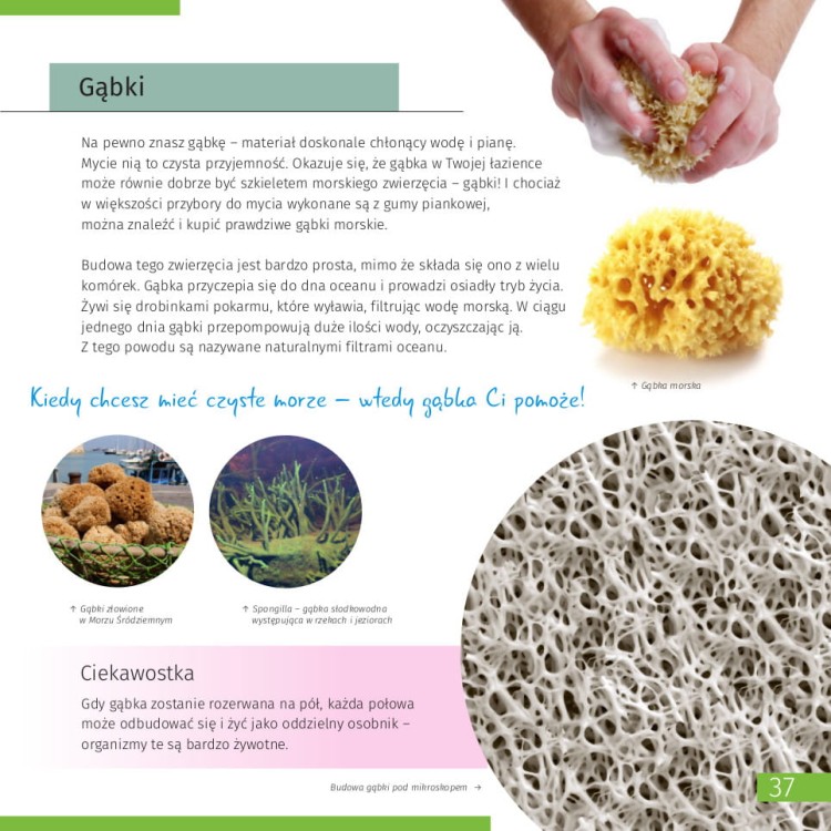 Niewidoczny świat. Skarbnica wiedzy - podręcznik naukowca Levenhuk