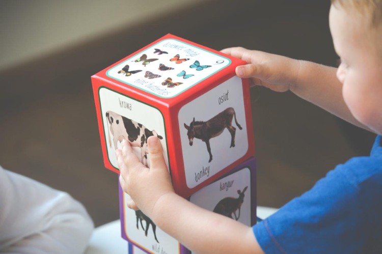 Piramida zabaw ZWIERZĘTA - Montessori