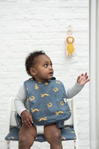 aa8816cabe0518479477ae7565429499