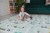 pol_pl_LITTLE-STORY-Skladana-Dwustronna-Mata-Piankowa-XPE-180x200-cm-XPE-CX5-1269_12.jpg
