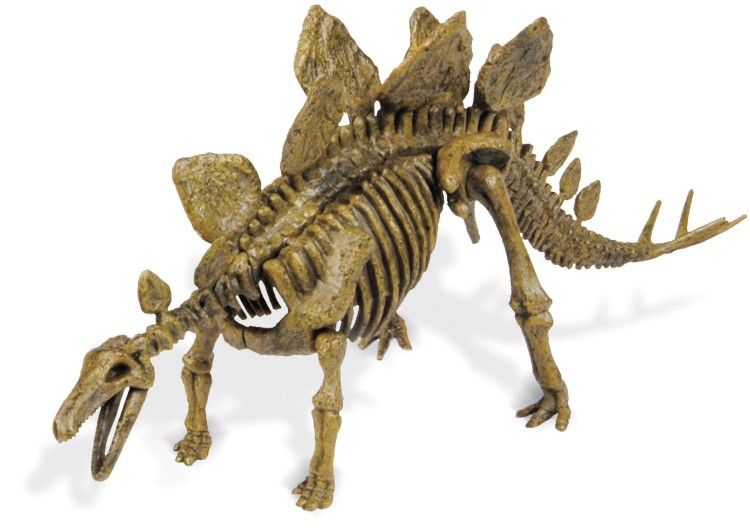 Szkielet STEGOSAURUS 28 cm DELUXE Wyprawa Paleontologiczna duży zestaw dinozaur Geoworld