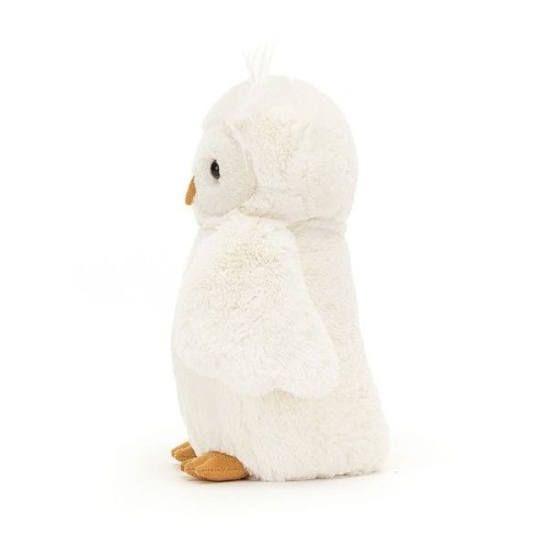 export.jpg