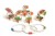 2111_1.jpg