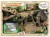  Megazestaw T-REX szkielet 76 cm Wyprawa Paleontologiczna dinozaur Geoworld