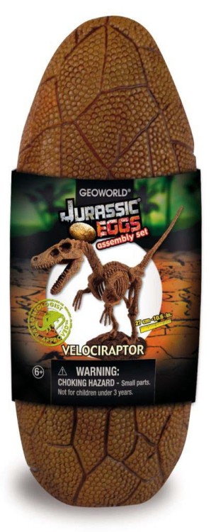 Jajo dinozaura szkielet VELOCIRAPTOR 27cm Geoworld