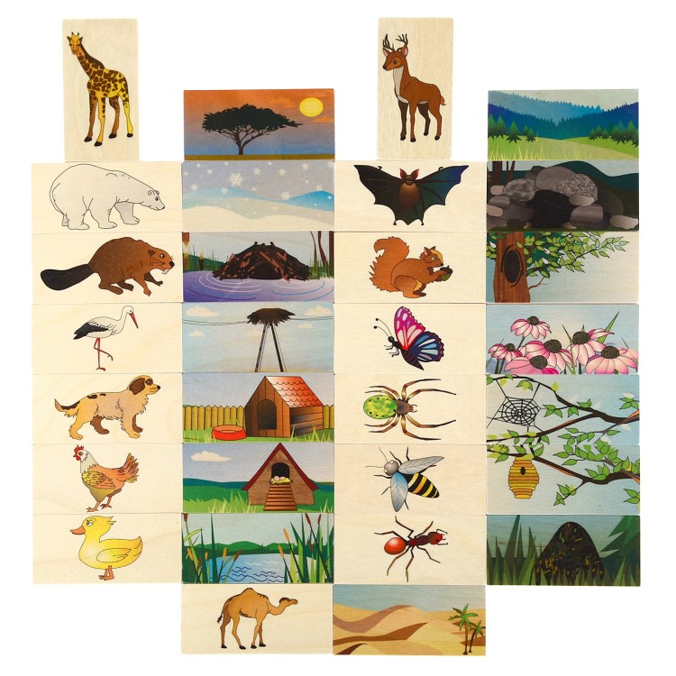 zwierzątka i ich domki drewniana gra Pilch