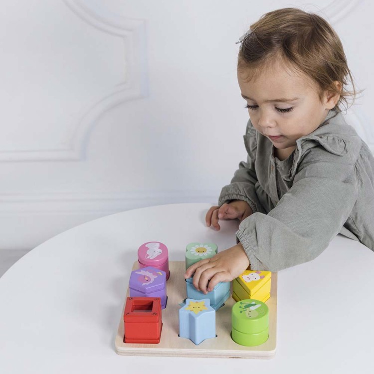 PL089-shapes-puzzle-sensory-cognitive-play.jpg