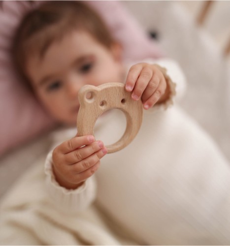 1-wooden-teether-frisky-frog.jpg