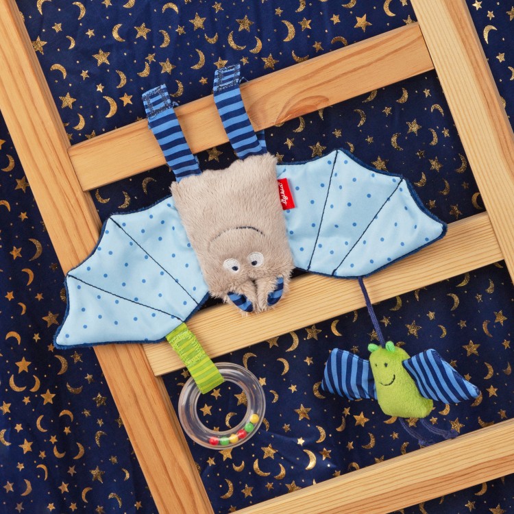 6846e1365ce0e-activity-hanging-toy-bat-blue.jpeg