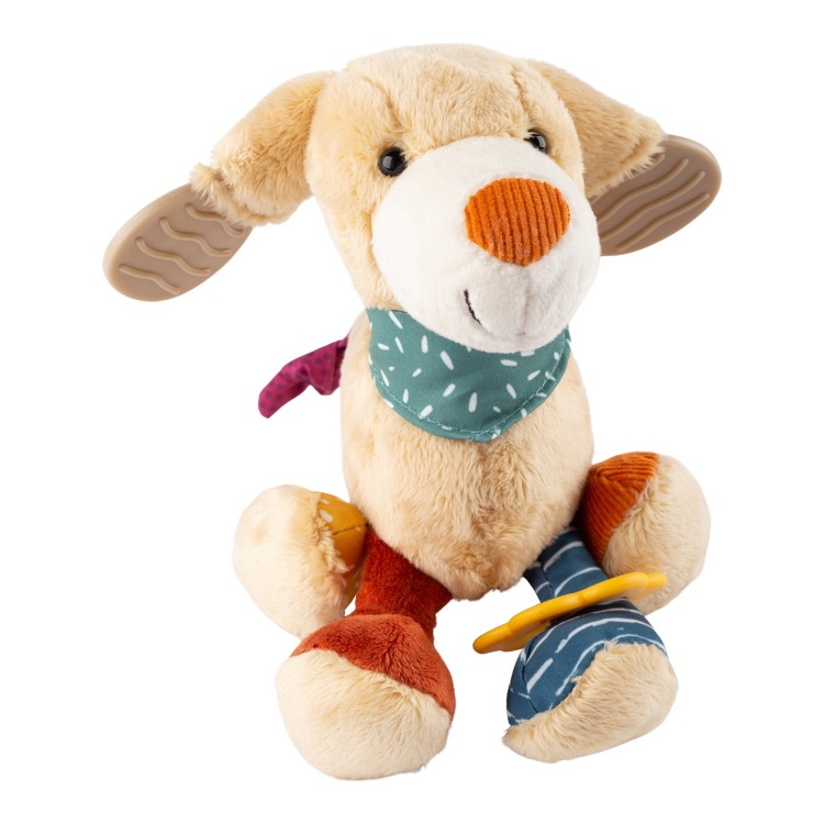 6846e1e2c98cb-activity-hanging-toy-dog.jpeg