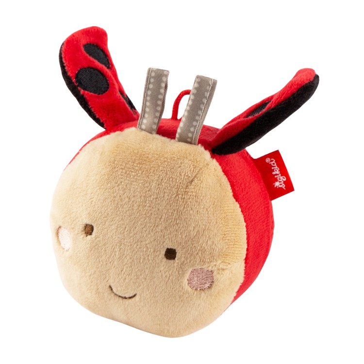 activity-soft-ball-9-cm-ladybug-playq.jpeg