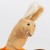 6846e5dbadfb6-finger-puppet-glove-animals.jpeg