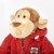 6846e7a78d66b-teaching-monkey.jpeg