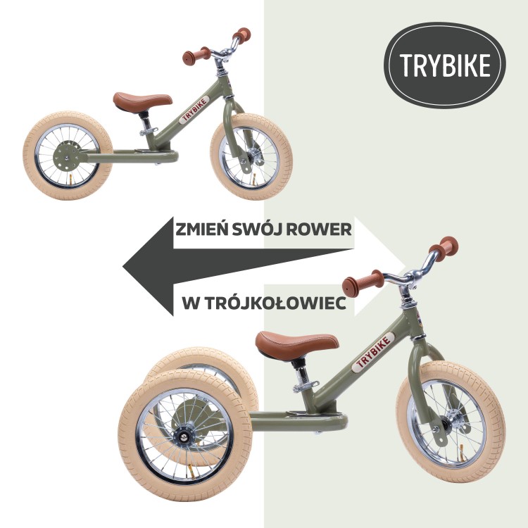 TurnBikeIntoTrike.jpg