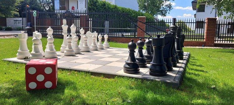 20240730_130945.jpg