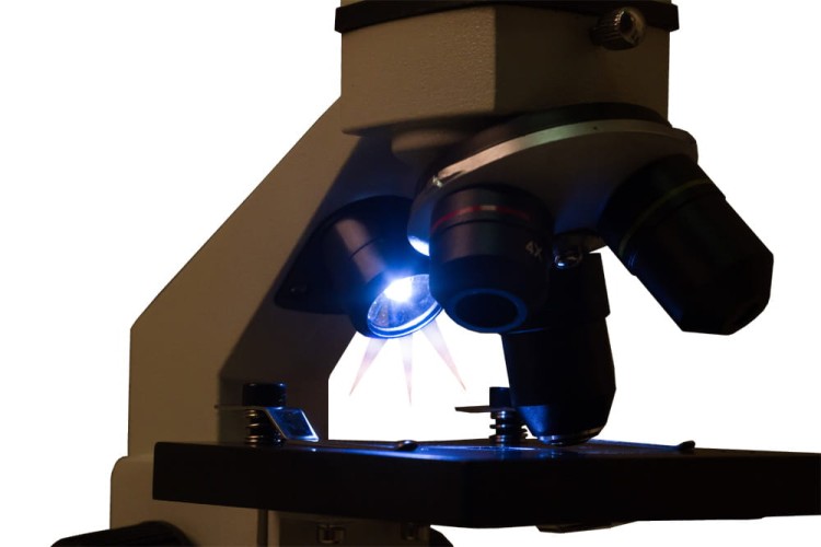 Mikroskop Rainbow 2L PLUS Moonstone szary Levenhuk + GRATIS zestaw K50 do eksperymentów