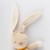 6846f813c5567-cuddling-rabbit-beige.jpeg