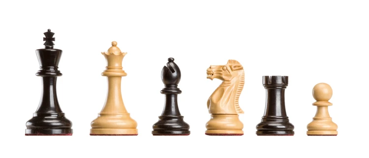 Polgar_Deluxe_(4).jpg